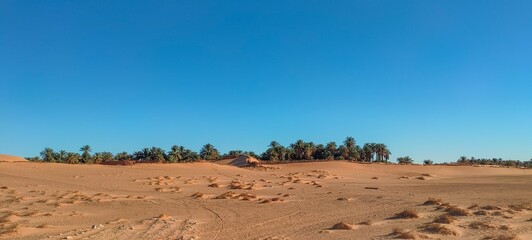 A sweeping panorama captures the oasis nestled in the midst of fine sandy desert, with agricultural fields stretching at the base of palm trees beneath a partly cloudy blue sky in Timimoun, Algeria.