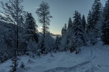 Obraz premium Vista panoramica da dentro un bosco di un bellissimo ambiente di montagna completamente innevato a freddo, vicino a Tarvisio, in Friuli Venezia Giulia, durante un tramonto invernale