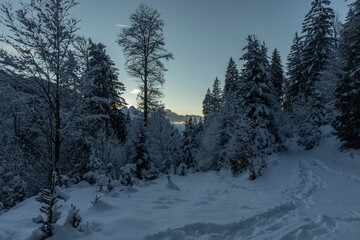 Vista panoramica da dentro un bosco di un bellissimo ambiente di montagna completamente innevato a freddo, vicino a Tarvisio, in Friuli Venezia Giulia, durante un tramonto invernale