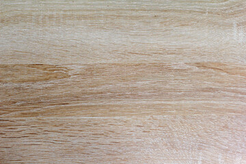 Wood texture. Wood texture for design and decoration.