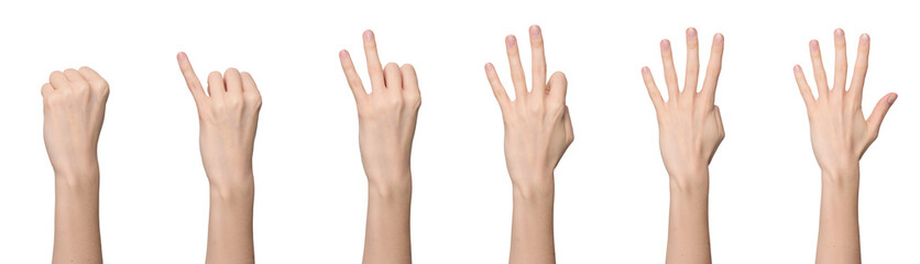 Woman's hand counting from zero to five, with back of the hand facing us, isolated on transparent background, png file