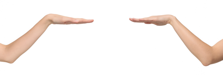 Two sides of female arm bent at the elbow with the palm facing down, as a sign of measuring height, isolated on transparent background, png file