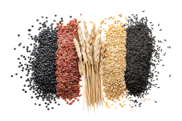 Food set consisting of black, red and white seeds such as wheat, corn, isolated on a transparent white background.
