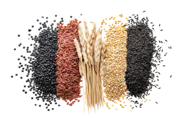 Fotobehang Food set consisting of black, red and white seeds such as wheat, corn, isolated on a transparent white background. © venusvi