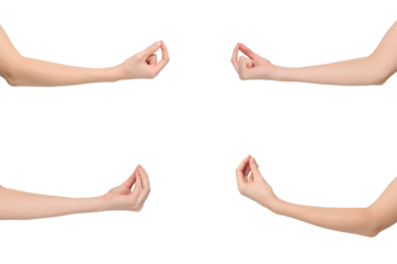 Female hands showing Italian “finger purse” or “pinched fingers” gesture by gathering fingers with tips touching and pointing upward, isolated on transparent background, png file