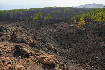 Specific landscapes from El Teide National Park Tenerife Canary Islands Spain