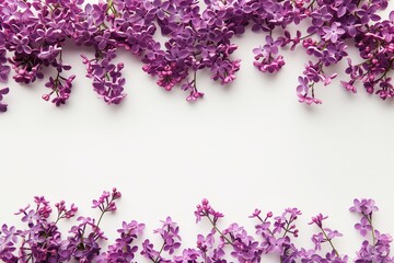 Lilac flowers border with copy space.