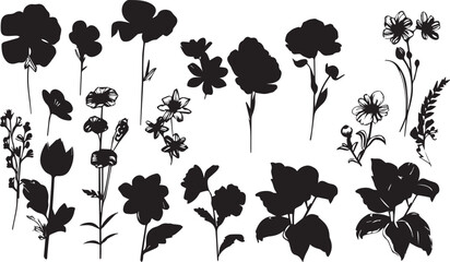 Set Flowers. Hand drawn vector illustration