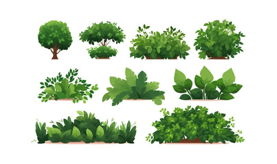 Fototapeta premium bush set vector flat minimalistic isolated illustration