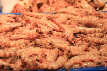 Fresh prawns for sale in the central market of Sanlucar de Barrameda