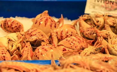 Fresh crabs for sale in the central market of Sanlucar de Barrameda