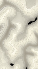 Abstract Monochrome Topographic Lines Background

