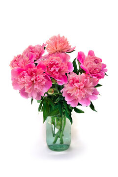 Pink peonies in glass vase on a white background with space for text
