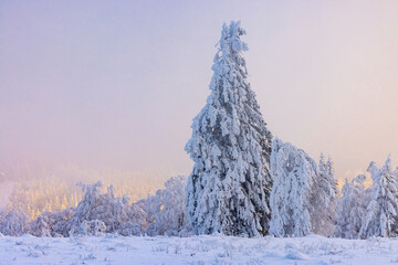 Winter in Winterberg