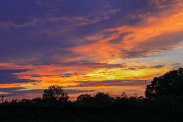 Stunning golden and purple sunset with silhouetted landscape in the foreground.