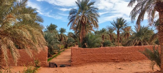 A sweeping panorama captures the oasis nestled in the midst of fine sandy desert, with agricultural fields stretching at the base of palm trees beneath a partly cloudy blue sky in Timimoun, Algeria.