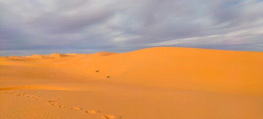 A sweeping panorama captures the vast expanse of golden sand dunes stretching as far as the eye can see, forming an arid desert under a partly cloudy blue sky in Timimoun, Algeria.