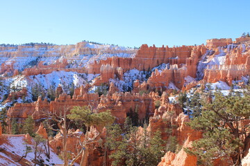 View of Bryce Canyon National Park in the snow in December overlooking the natural, geologic, bright orange features called hoodoos.
