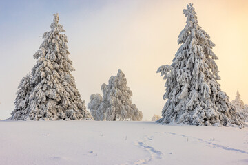Winter in Winterberg
