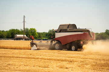 Combine harvester on the wheat field