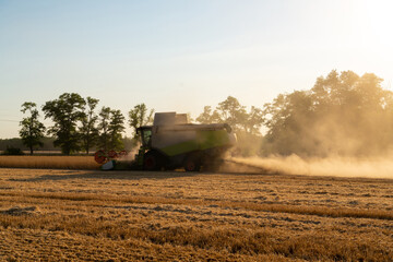 Combine harvester harvests wheat at sunset.