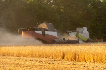 Combine harvester on the wheat field