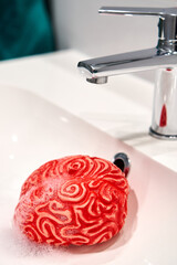 Foam-Filled Brain under a Sink Faucet, Brainwashing Concept.