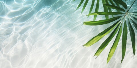 palm leaves on the water top view tropics Generative AI