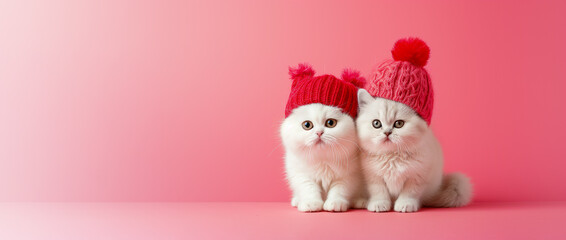 Banner National Love Your Pet Day Banner. Cute Little White Kitty in Red Knitted Hats on Pink Background. Mockup Fluffy Adorable Two Kittens, Space for Text. Pet Store. AI Generated. Horizontal.