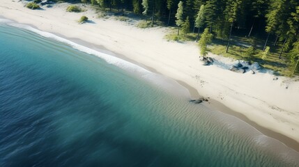 Aerial Picture of Sandy Beach and Coniferous Forest

