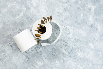 Rolls of toilet paper and eucalyptus branch on marble table background