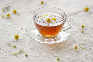 Chamomile herbal tea in a glass cup with flowers on white textile background, closeup, winter cold healing drink, natural medicine and naturopathy concept