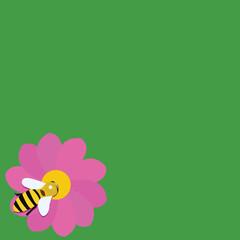 Obraz premium bee on a flower in nature