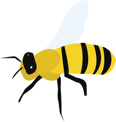 bee illustration on white background