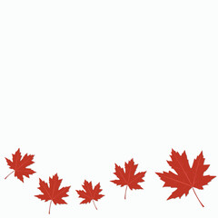 red canada leaves illustration