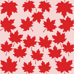 red canada leaves illustration