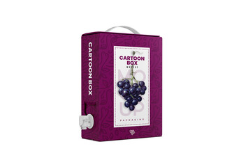 Carton Box with Wine Dispenser