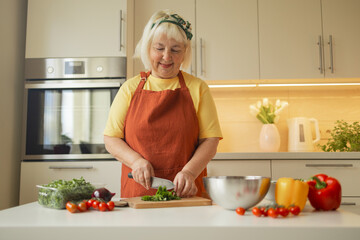 Woman hands cutting vegetables in the kitchen.Close up cropped image of female cutting board cutting vegetables in the kitchen, preparing food meal at home. Vegetarian healthy food