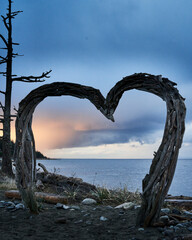 Fototapeta premium View at dusk looking through a large driftwood heart that is used for taking pictures at the ocean.