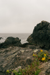 cloudy rocky coast