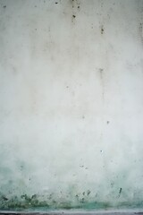 Vertical white grunge wall background with elegant structure and canvas for design