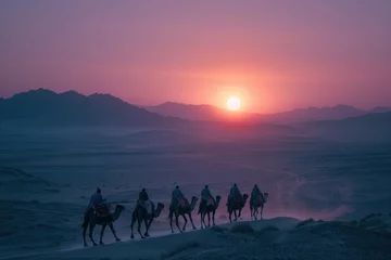 Fototapeten A caravan of camels walking in line on a desert dune under a vibrant sunset sky, leaving footprints in the sand. © Tuannasree