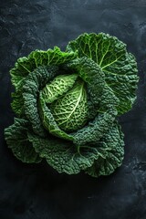 Fototapeta premium Savoy cabbage