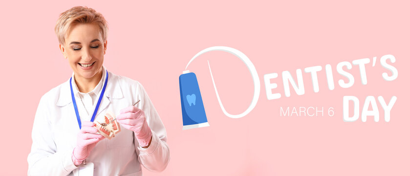 Mature female dentist with plastic jaw on pink background