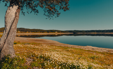 Landscape of the Pego do Altar Dam Reservoir in Santa Susana Alentejo Portugal nature travel rural Tourism - 741020646