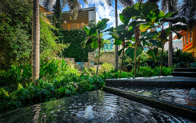 View of a water feature in a zone with a lush vegetation in Grand Cayman - 741023044