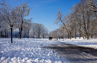Fototapeta na wymiar People enjoying a leisurely walk in a snowy park under a clear blue sky, surrounded by trees coated in fresh snow