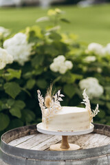 wedding cake against the background of the Swiss landscape. elegant cake for celebration