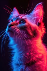 Cat in neon. closeup Neon animal portrait fuse the natural world with contemporary aesthetics, creating visually stunning compositions