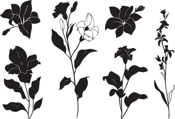 Set Flowers. Hand drawn vector illustration